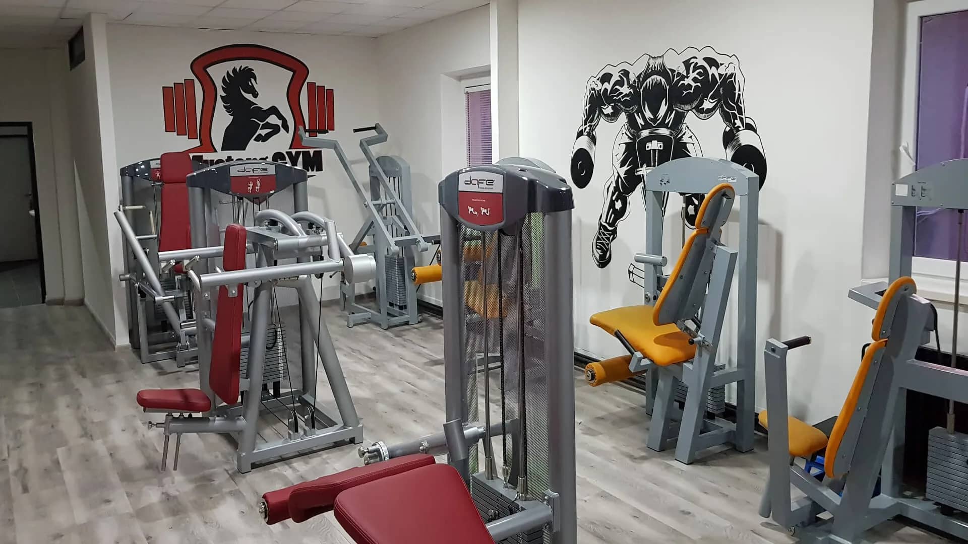 Posilňovacie stroje pod logom Mustang Gym