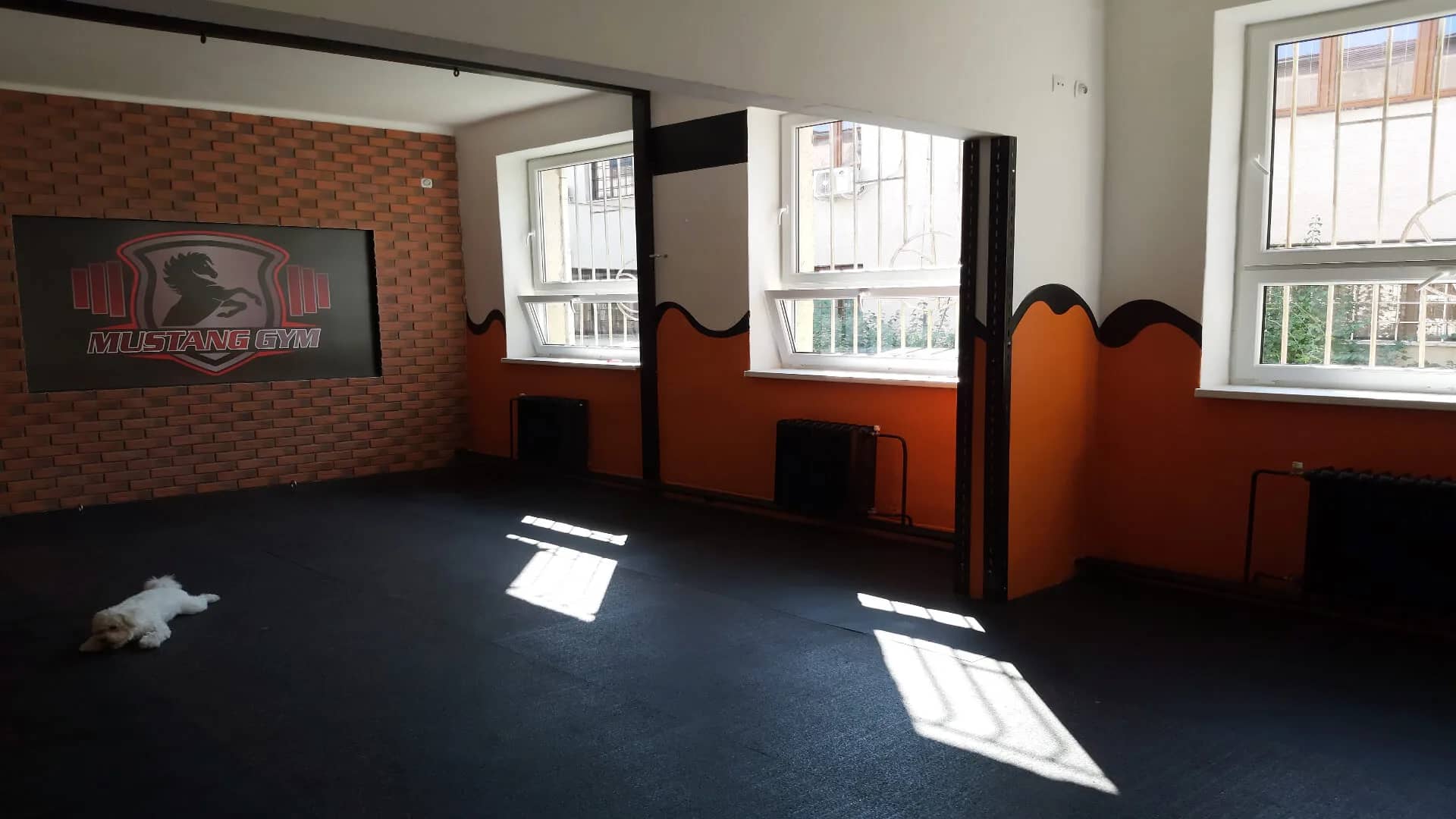 Sála na tréningy s logom Mustang Gym na stene